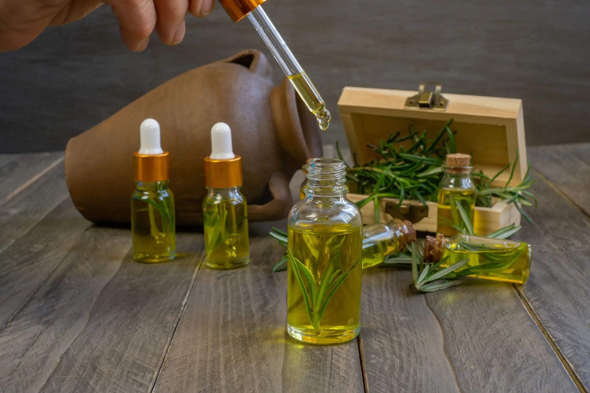 Holistic Healing Teas & Oils – Herbal-BioAlchemy